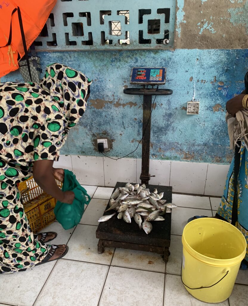 Frauen in der Nähe von Mombasa wiegen den Fisch zum Weiterverkauf auf lokalen Märkten
Foro: Cornelia Wilß