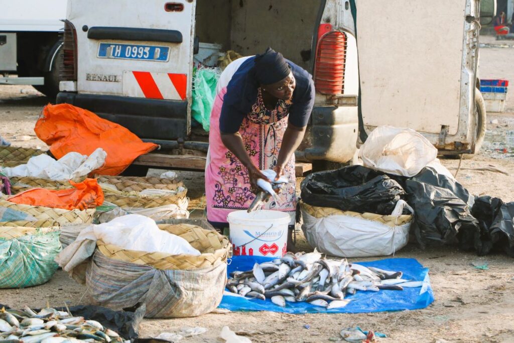 Frauen verareiten Fisch in Djiffer, Westafrika. Foto: Aliou Diallo